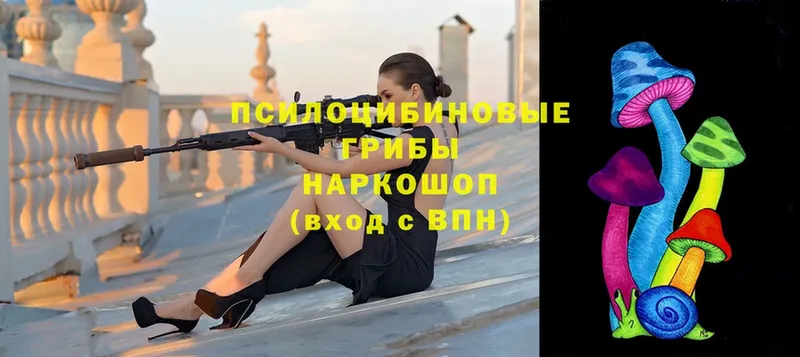 Галлюциногенные грибы GOLDEN TEACHER  Отрадная 